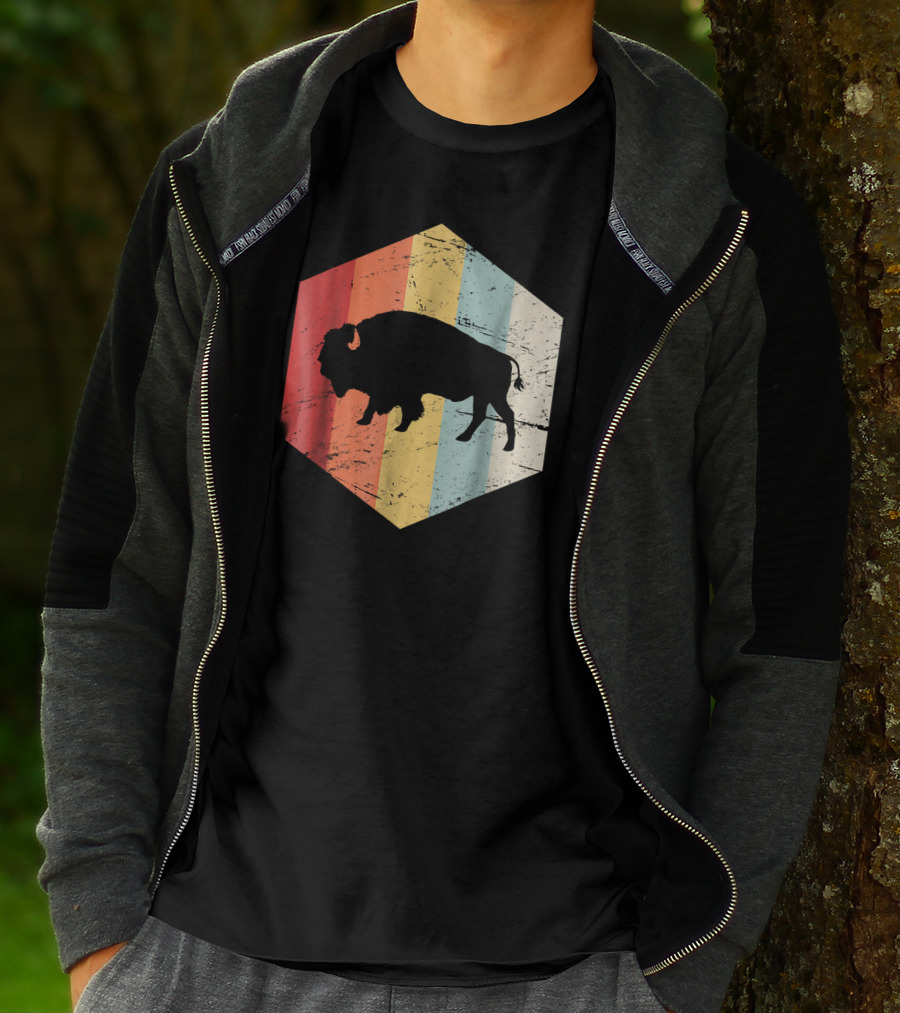 Vintage Buffalo Silhouette Retro Stripes Hexagon T-Shirt