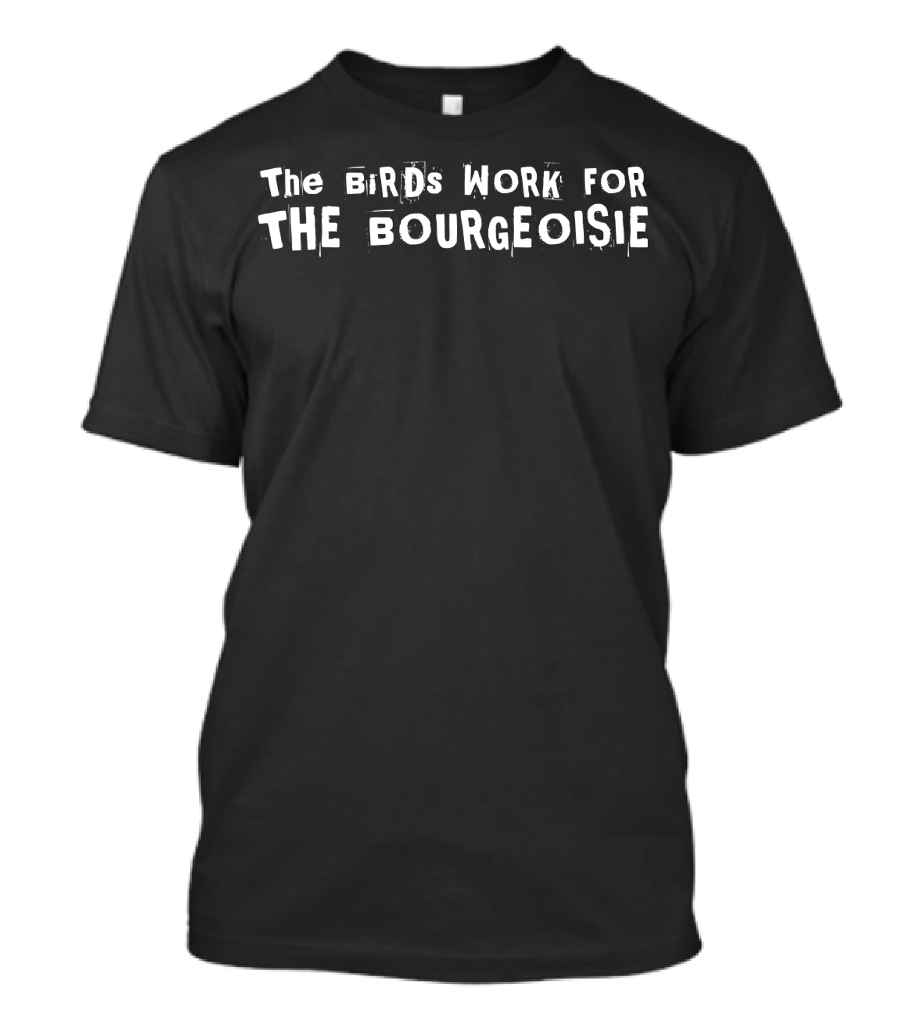 The Birds Work For The Bourgeoisie Conspiracy Theory Meme Phrase T-Shirt