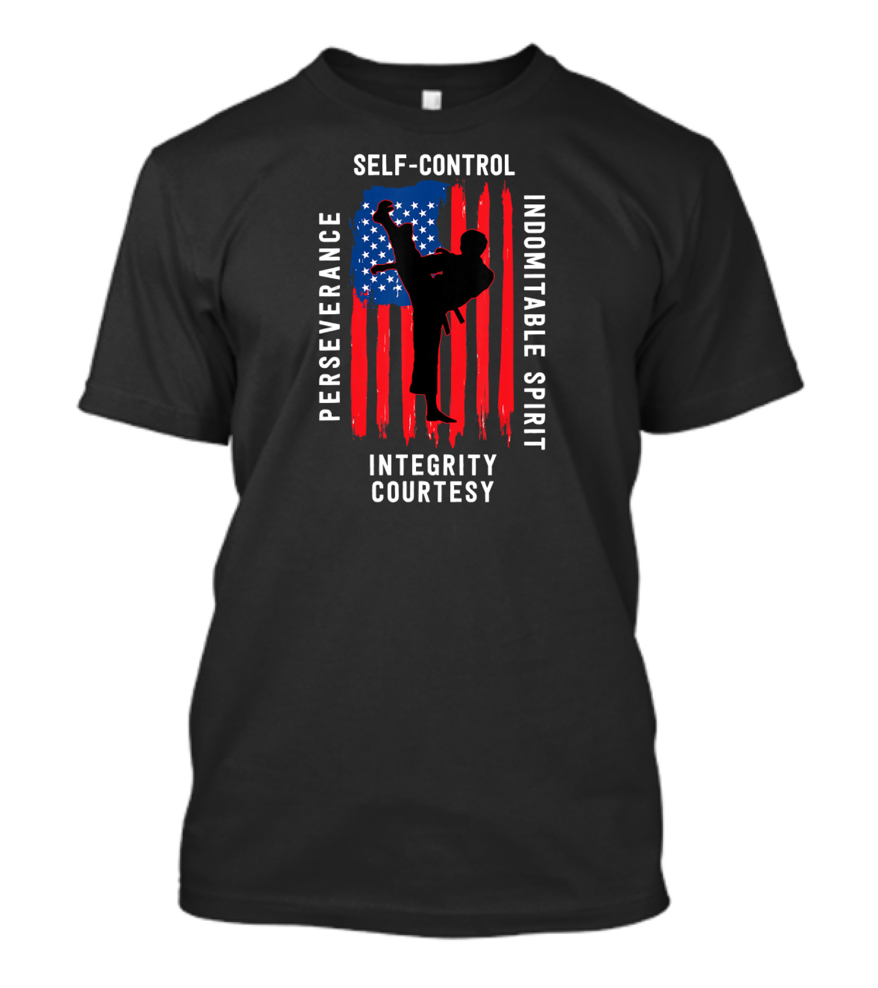 Taekwondo Five Tenets Perseverance Self-Control Indomitable Spirit Integrity Courtesy US Flag Martial Arts T-Shirt