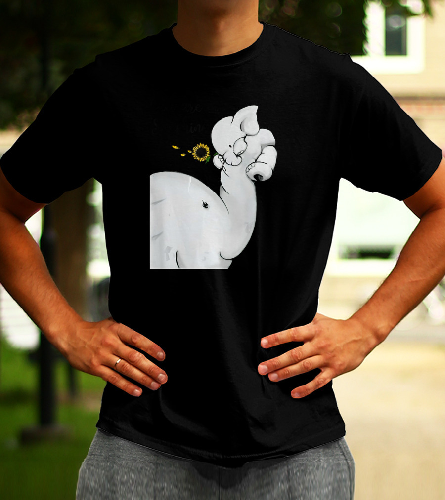 Elephant You Are My Sunshine With Flower And Baby Elephant Hugging T-Shirt