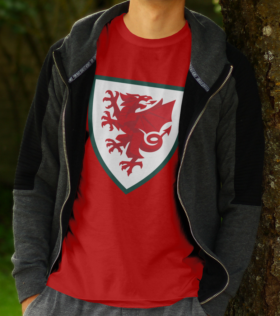 Gareth Bale Welsh Red Dragon Emblem T-Shirt