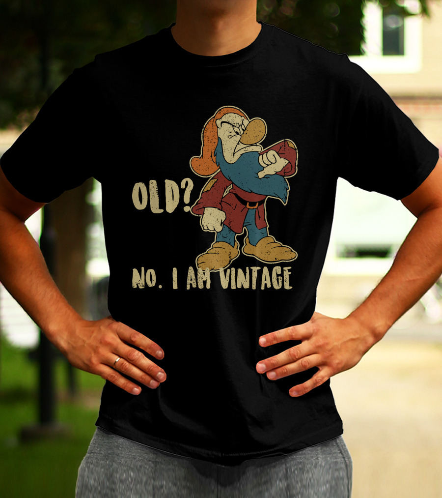 Grumpy Old? No. I Am Vintage T-Shirt