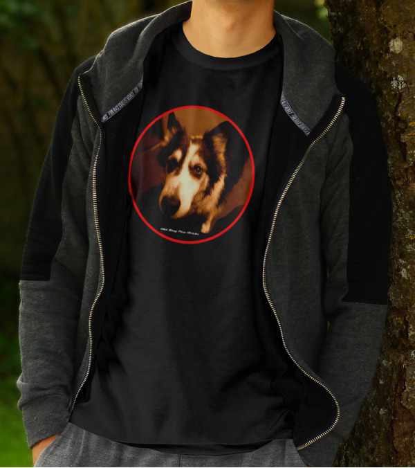 Old Dog New Tricks Border Collie Close-Up In Red Circle Frame T-Shirt