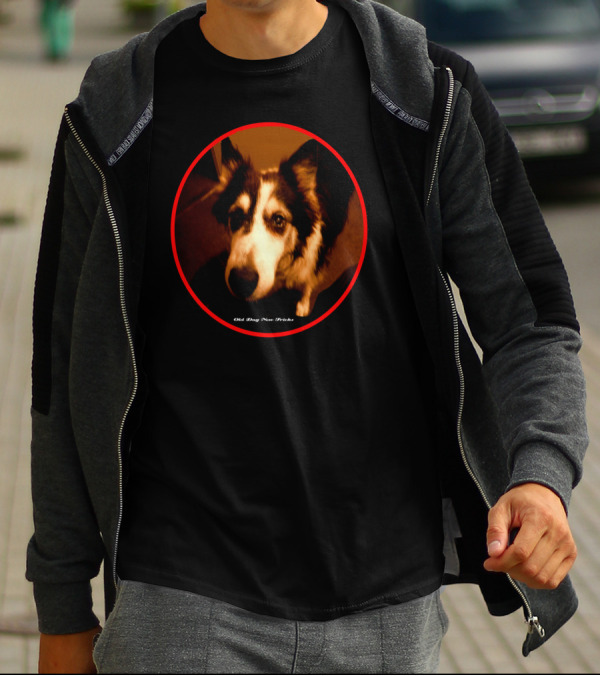 Old Dog New Tricks Border Collie Close-Up In Red Circle Frame T-Shirt