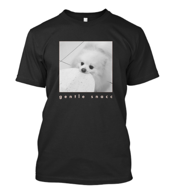 Gentle Snacc Fluffy Dog Holding Tortilla T-Shirt