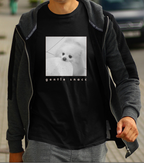 Gentle Snacc Fluffy Dog Holding Tortilla T-Shirt