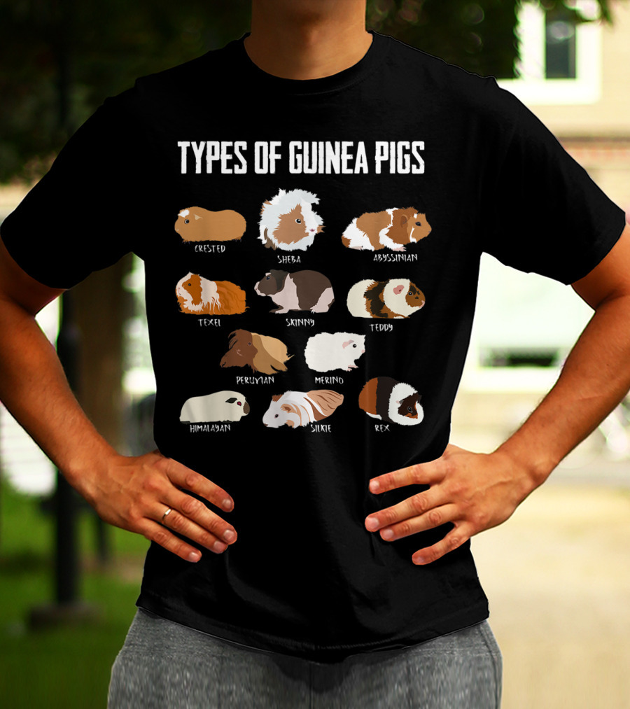 Types Of Guinea Pigs Crested Sheba Abyssinian Texel Skinny Teddy Peruvian Merino Himalayan Silkie Rex T-Shirt