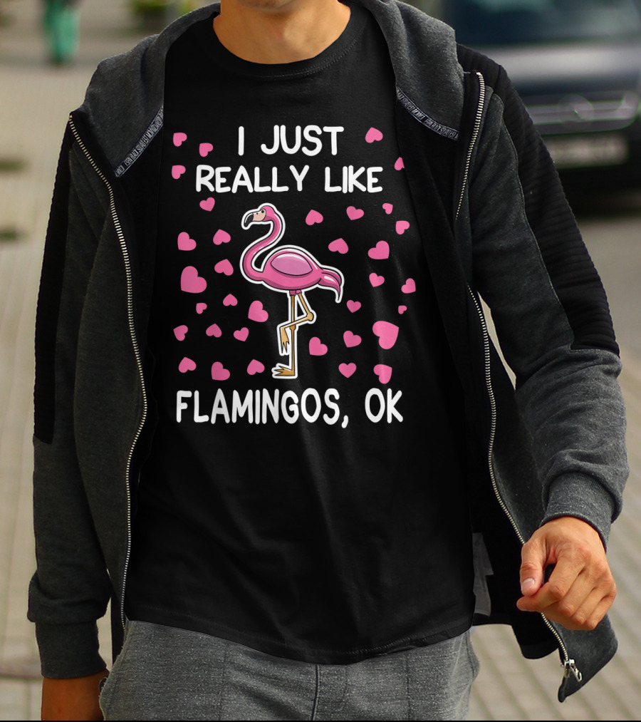 I Just Really Like Flamingos OK Surrounded By Pink Hearts Flamingo Lover T-Shirt
