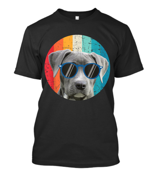 Vintage Weimaraner Dog With Sunglasses On Retro Striped Circle Background T-Shirt