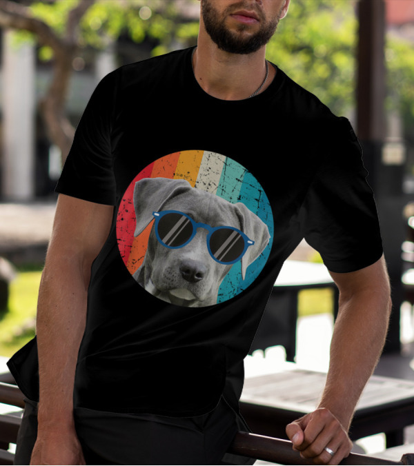 Vintage Weimaraner Dog With Sunglasses On Retro Striped Circle Background T-Shirt