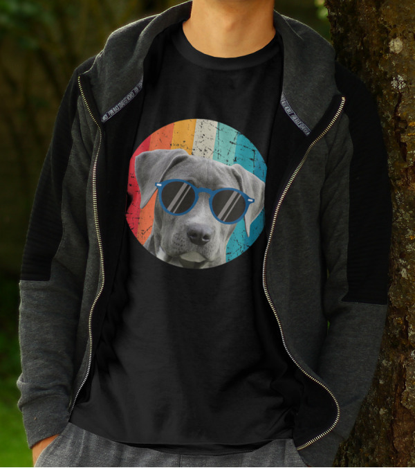 Vintage Weimaraner Dog With Sunglasses On Retro Striped Circle Background T-Shirt