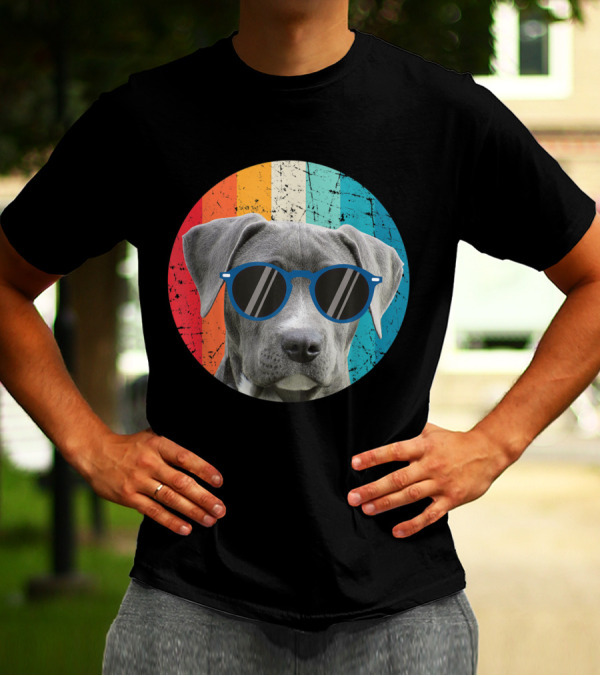 Vintage Weimaraner Dog With Sunglasses On Retro Striped Circle Background T-Shirt