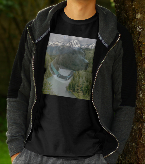 Call Of The Wild Scenic Mountain Landscape With Dog And Forest River Reflection T-Shirt
