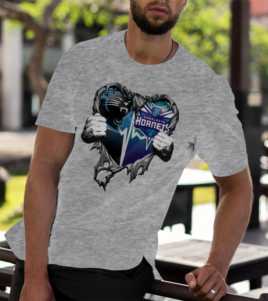 Carolina Panthers Charlotte Hornets Heart T-Shirt