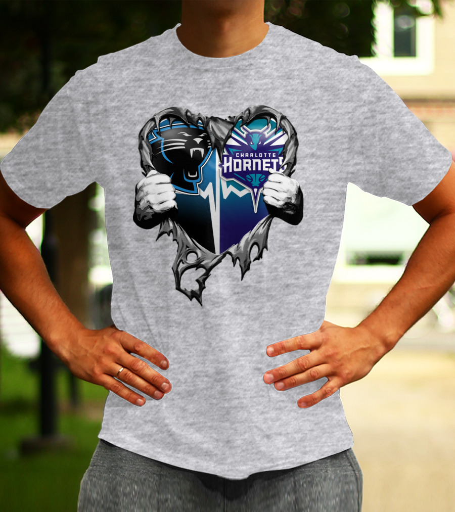 Carolina Panthers Charlotte Hornets Heart T-Shirt