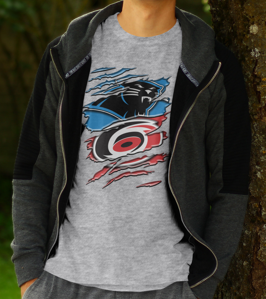 Carolina Panthers And Hurricanes Claw T-Shirt