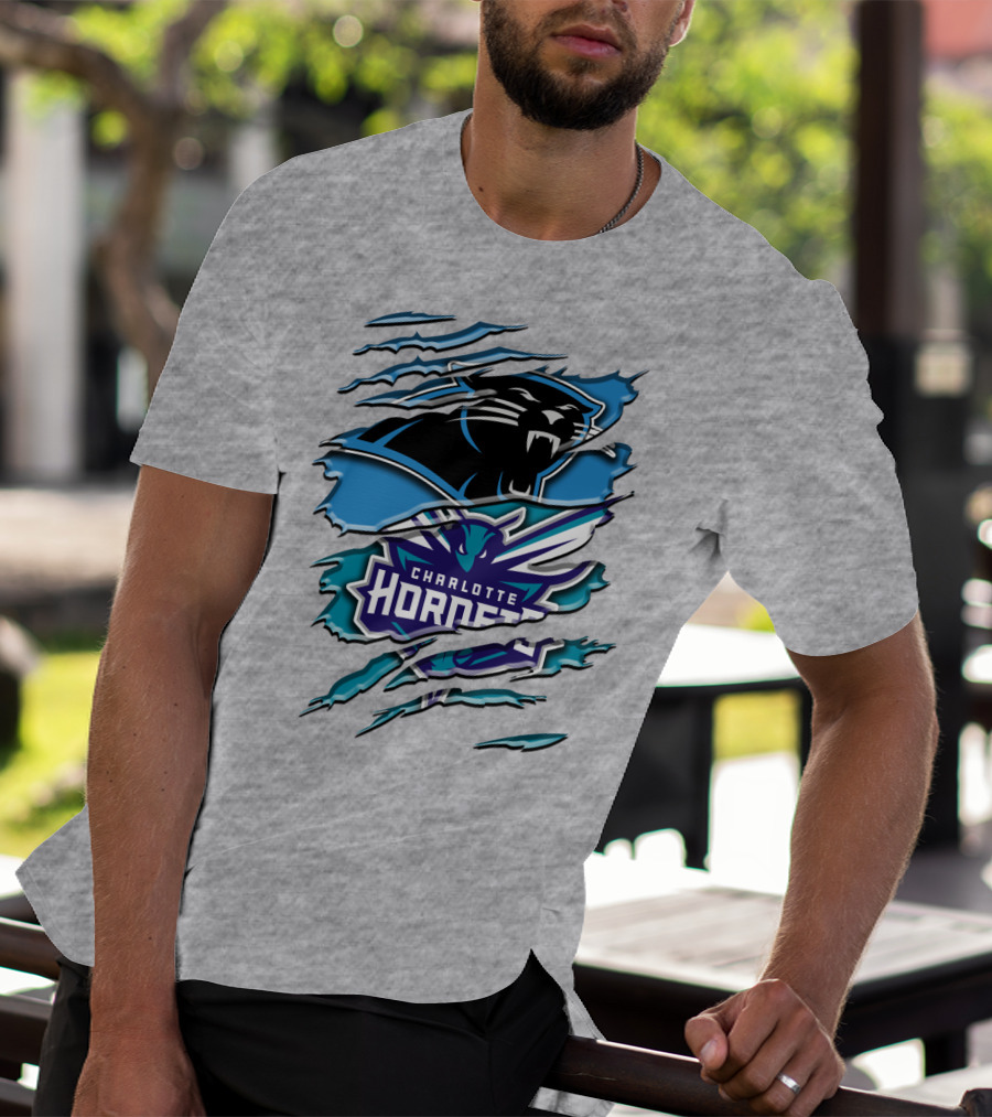 Panther And Charlotte Hornets Logo Rah T-Shirt