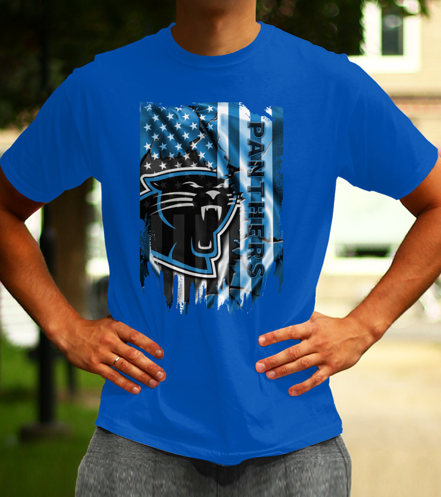 Panthers American Flag Stars And Stripes T-Shirt
