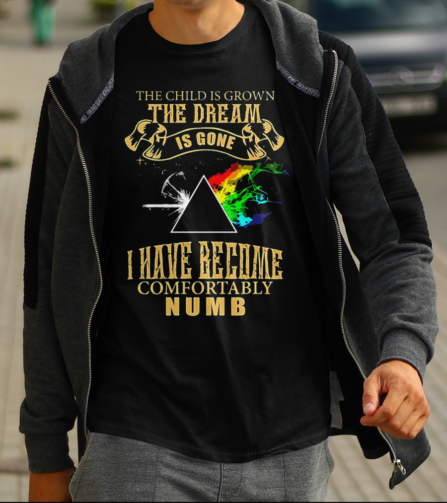 The Child Is Grown The Dream Is Gone Comfortably Numb Triangle Spectrum T-Shirt