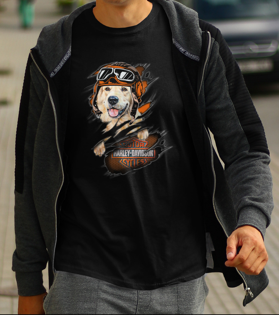 Golden Retriever Wearing Biker Helmet With Harley Davidson Motorcycles T-Shirt