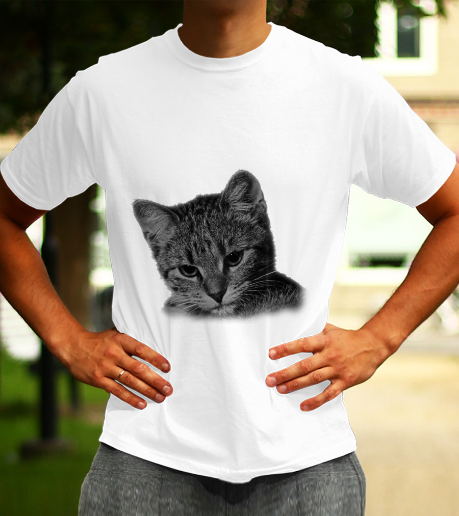 Cat Cool T-Shirt