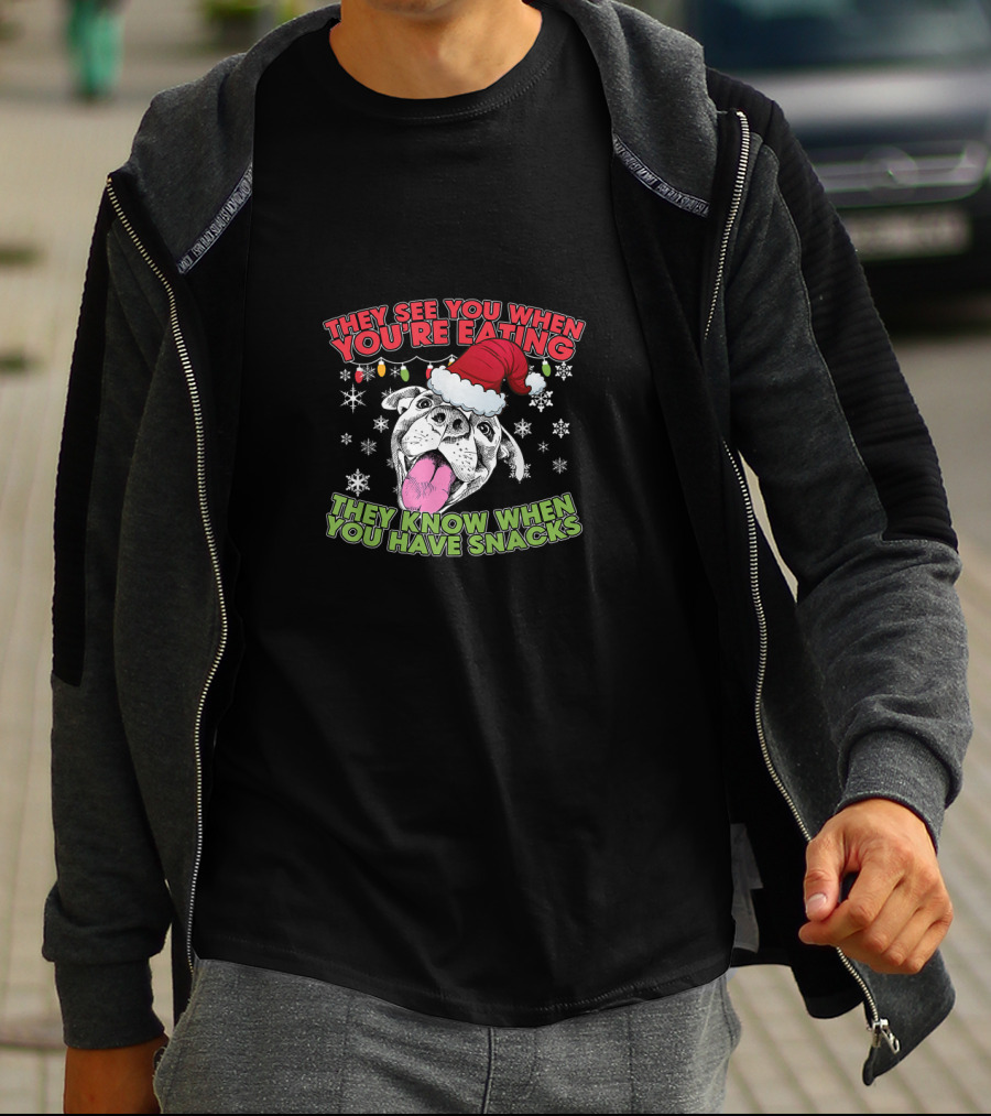 Christmas Pitbull Lover They See You When You're Eating Santa Hat Snowflakes T-Shirt