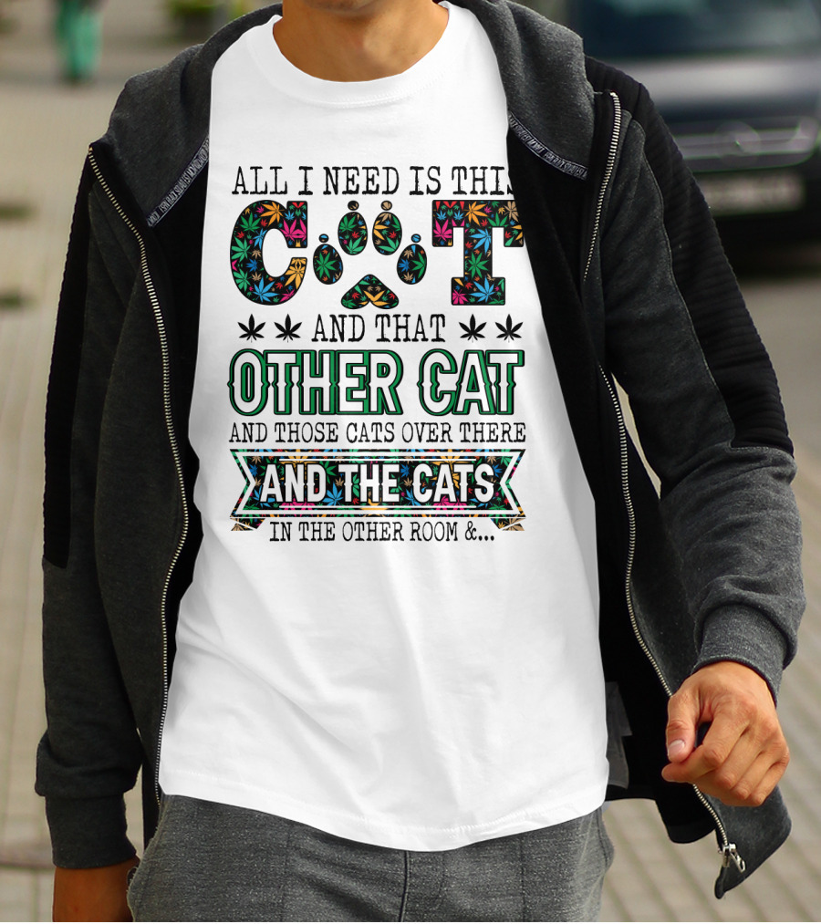 All I Need Is This Cat And That Other Cat And Those Cats Over There And The Cats In The Other Room T-Shirt