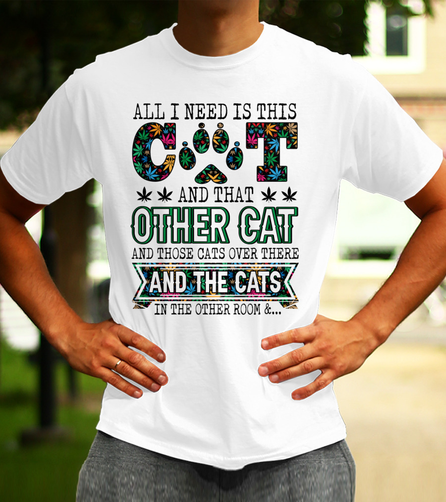 All I Need Is This Cat And That Other Cat And Those Cats Over There And The Cats In The Other Room T-Shirt