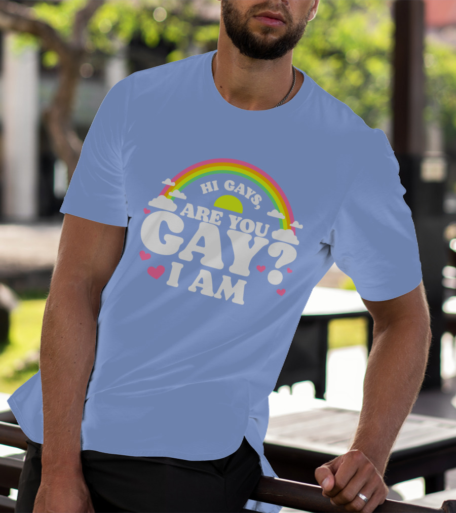 Chrissy Chlapecka Merch Hi Gays Are You Gay I Am With Rainbow And Hearts T-Shirt