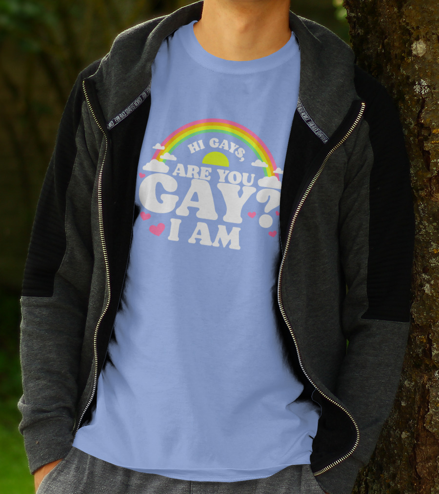 Chrissy Chlapecka Merch Hi Gays Are You Gay I Am With Rainbow And Hearts T-Shirt