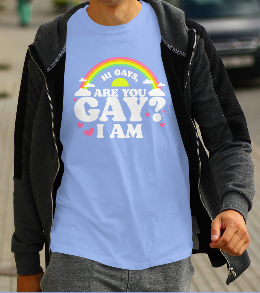 Chrissy Chlapecka Merch Hi Gays Are You Gay I Am With Rainbow And Hearts T-Shirt