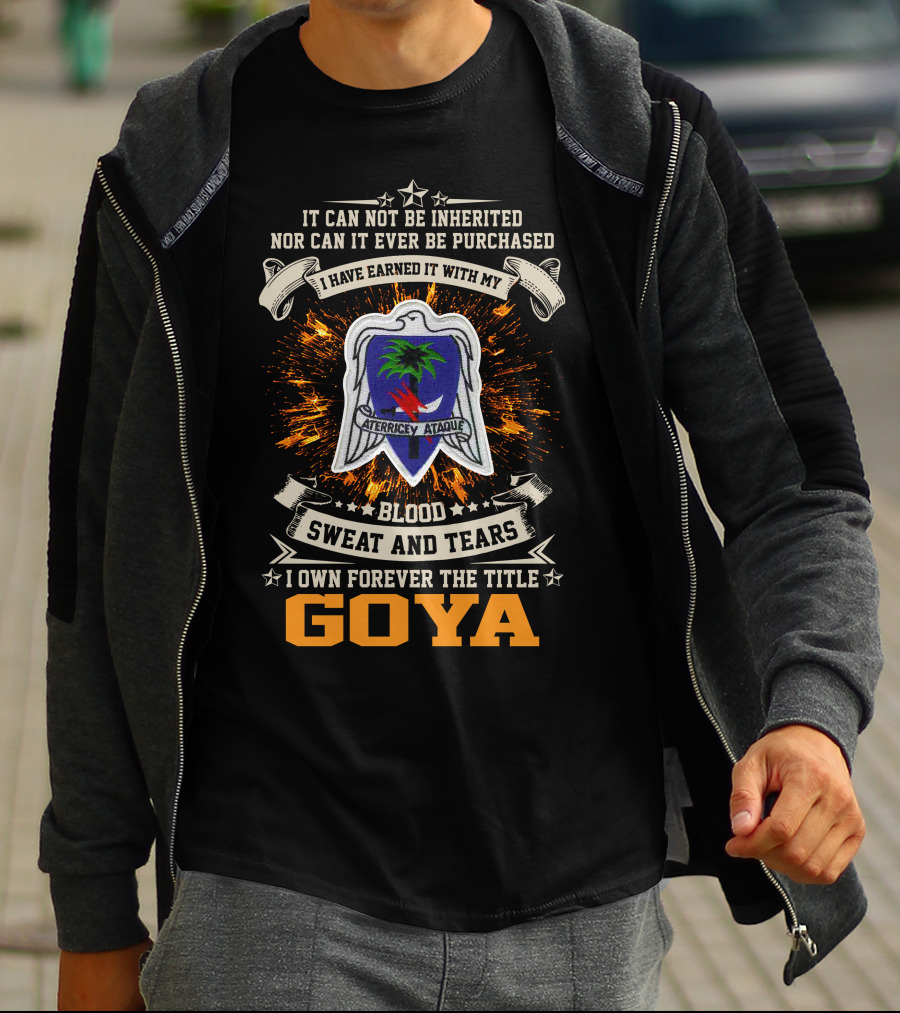 Blood Sweat And Tears Goya 551St Parachute Infantry Battalion Aterrice Y Ataque T-Shirt