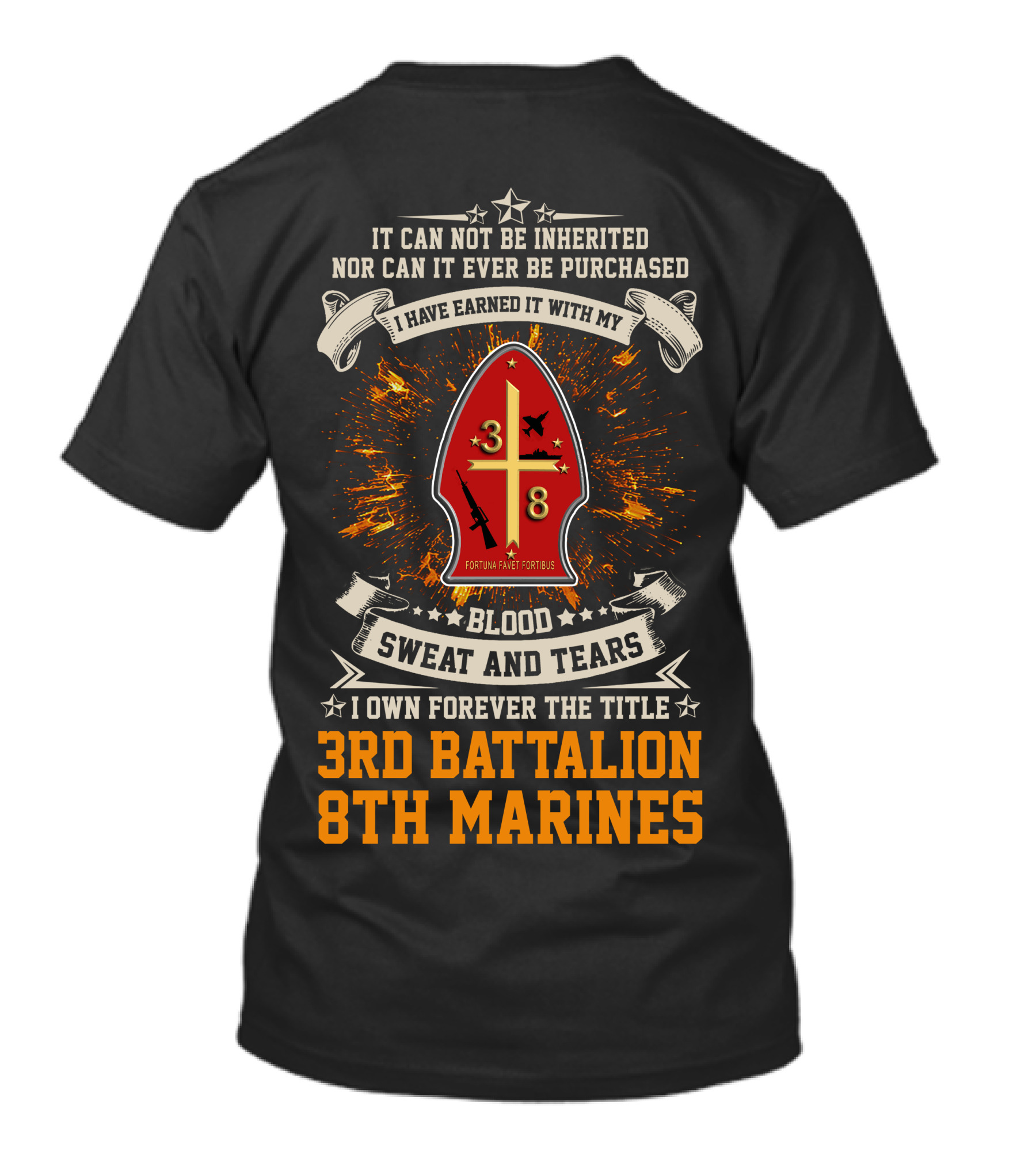 I Own Forever The Title 3Rd Battalion 8Th Marines Blood Sweat And Tears T-Shirt