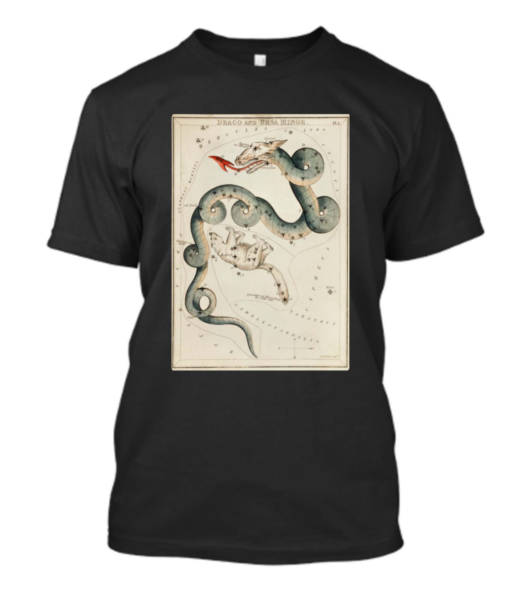 Draco And Ursa Minor Celestial Map T-Shirt