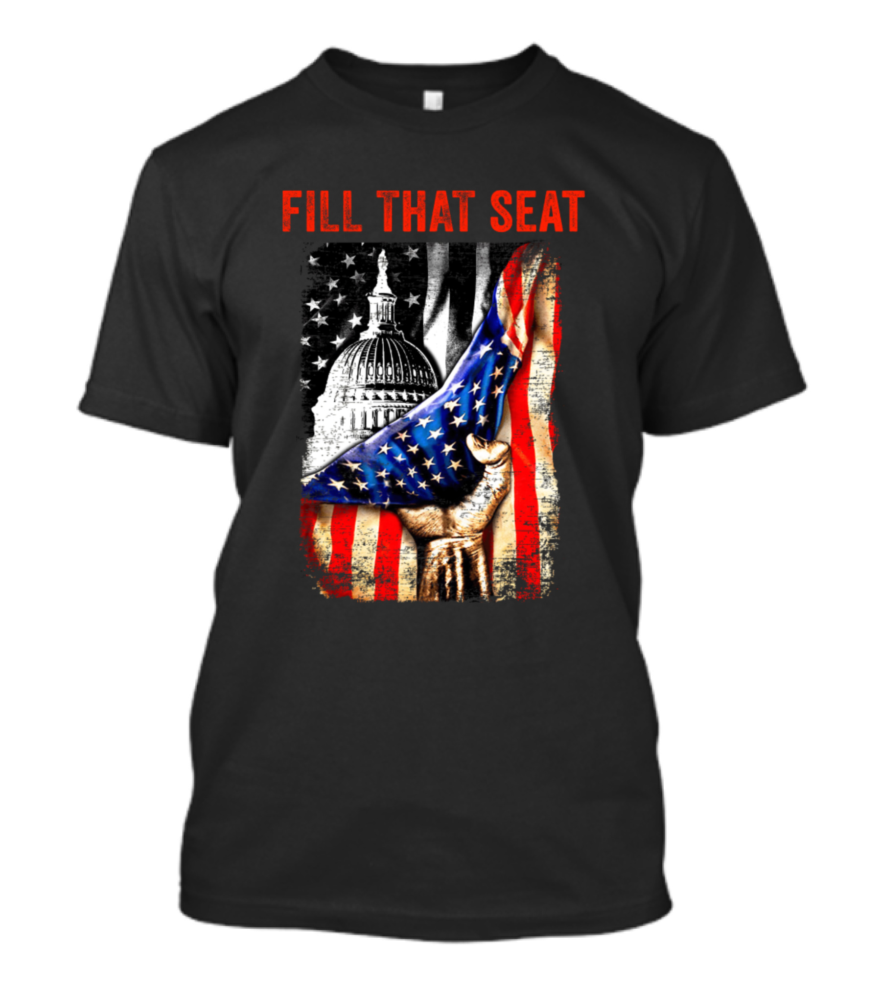 Fill That Seat USA Flag Capitol Dome Patriotic T-Shirt