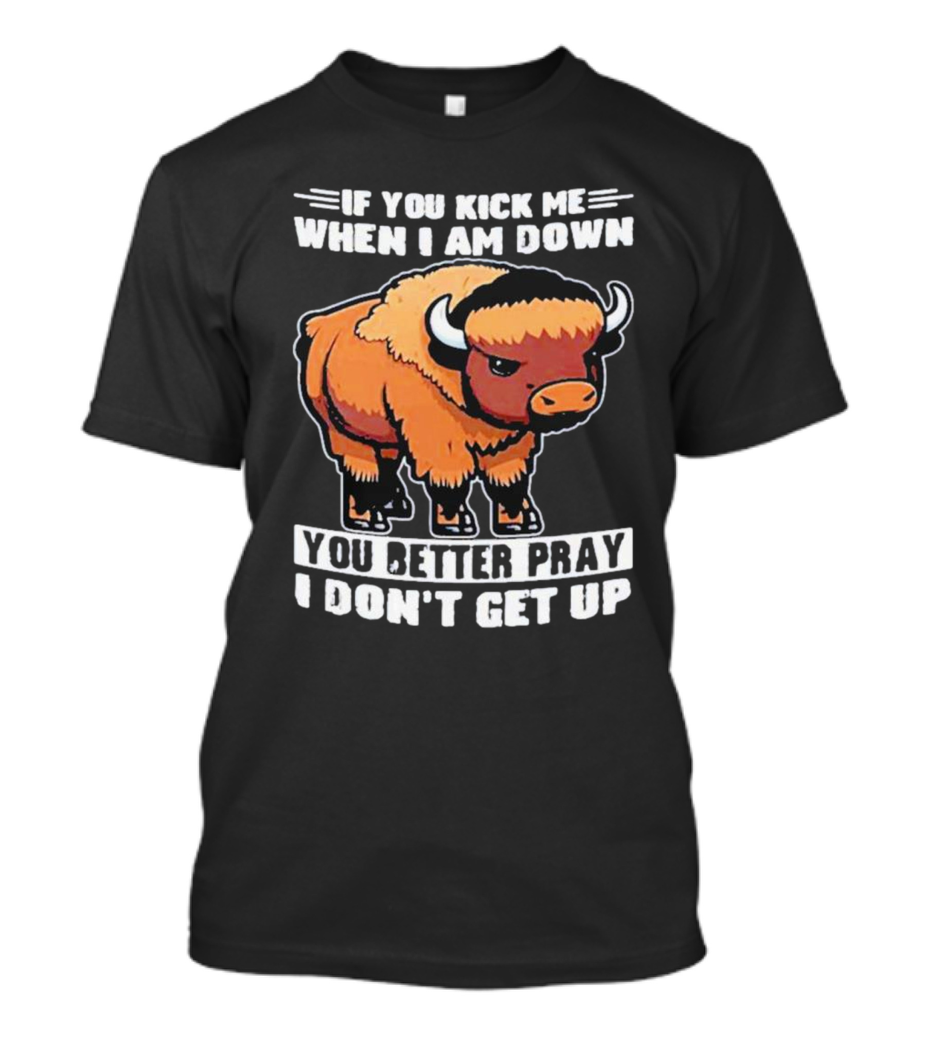 Buffalo If You Kick Me When I Am Down You Better Pray I Don’t Get Up T-Shirt
