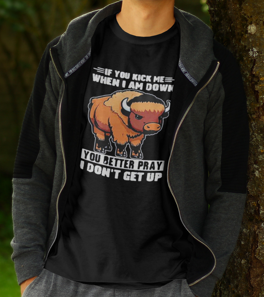 Buffalo If You Kick Me When I Am Down You Better Pray I Don’t Get Up T-Shirt
