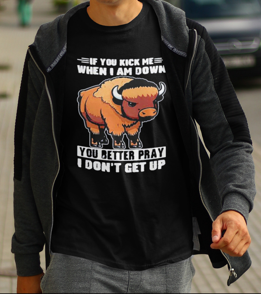 Buffalo If You Kick Me When I Am Down You Better Pray I Don’t Get Up T-Shirt