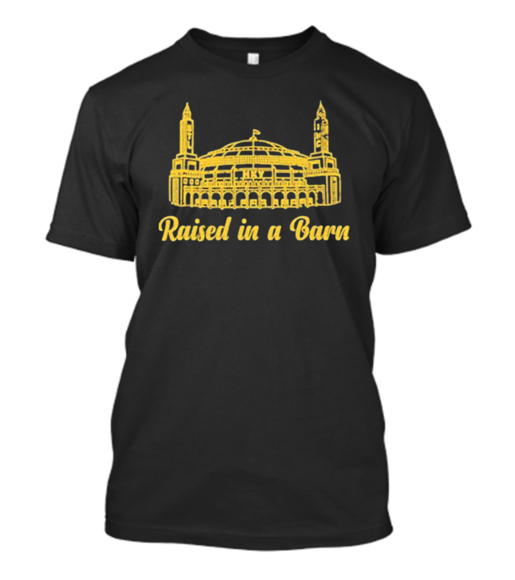 Raised In A Barn Iconic Arena T-Shirt