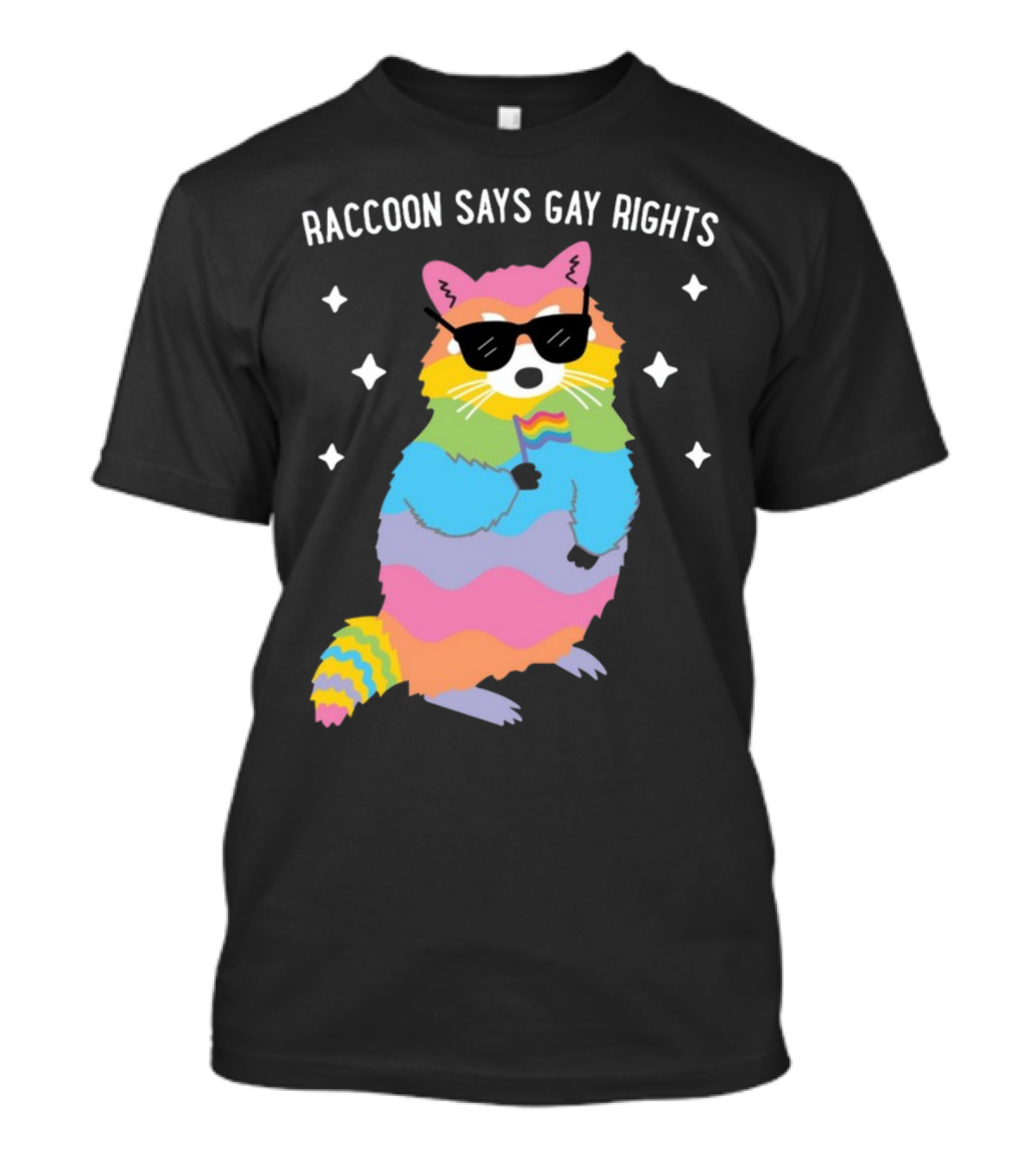 Raccoon Says Gay Rights Pride Rainbow Sunglasses Flag T-Shirt