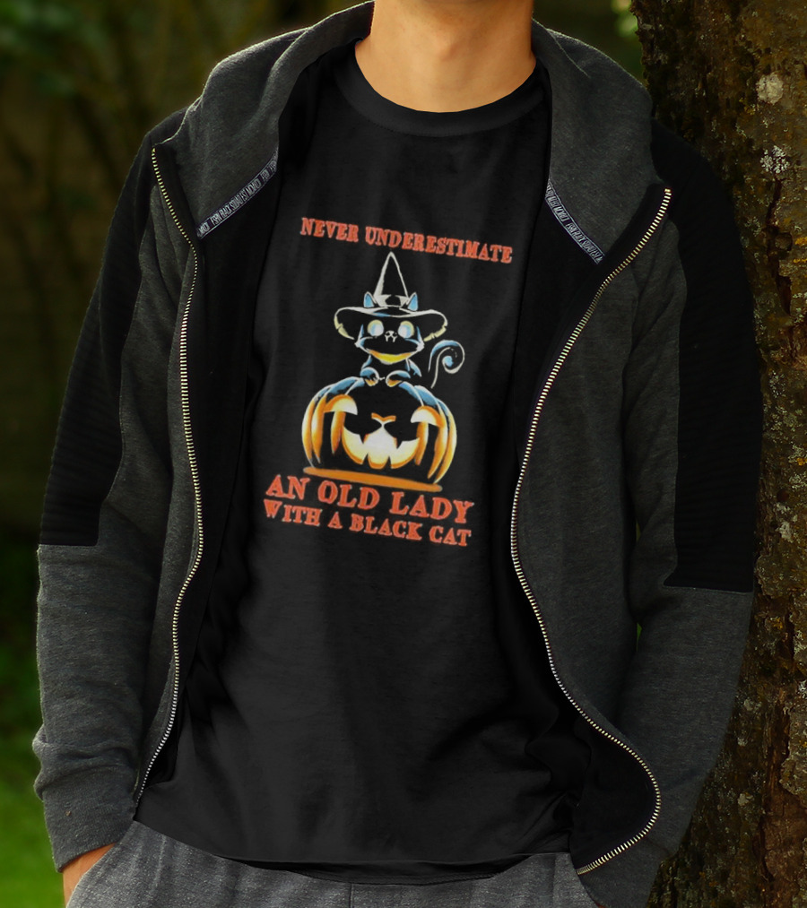 Never Underestimate An Old Lady With A Black Cat Halloween Pumpkin Witch Hat T-Shirt