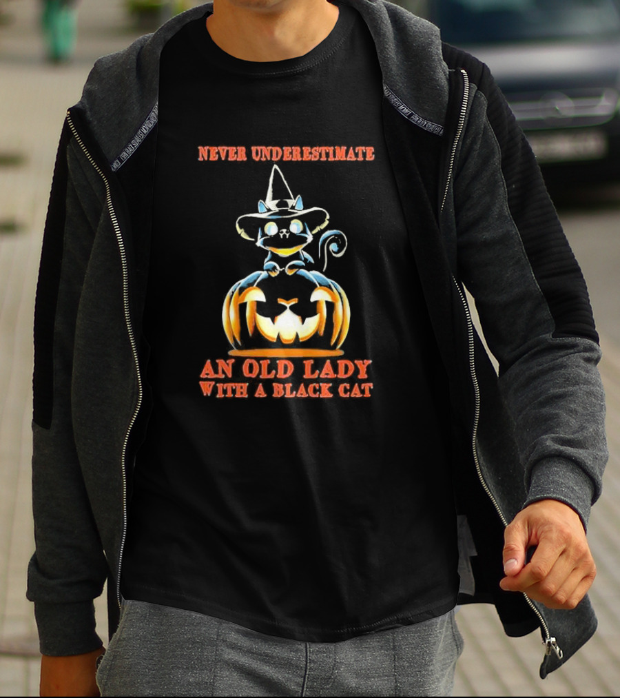 Never Underestimate An Old Lady With A Black Cat Halloween Pumpkin Witch Hat T-Shirt