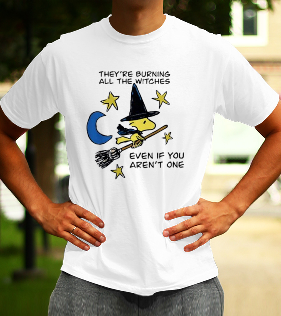 They’re Burning All The Witches Even If You Aren’t One Woodstock Wizard Stars Moon Broomstick T-Shirt