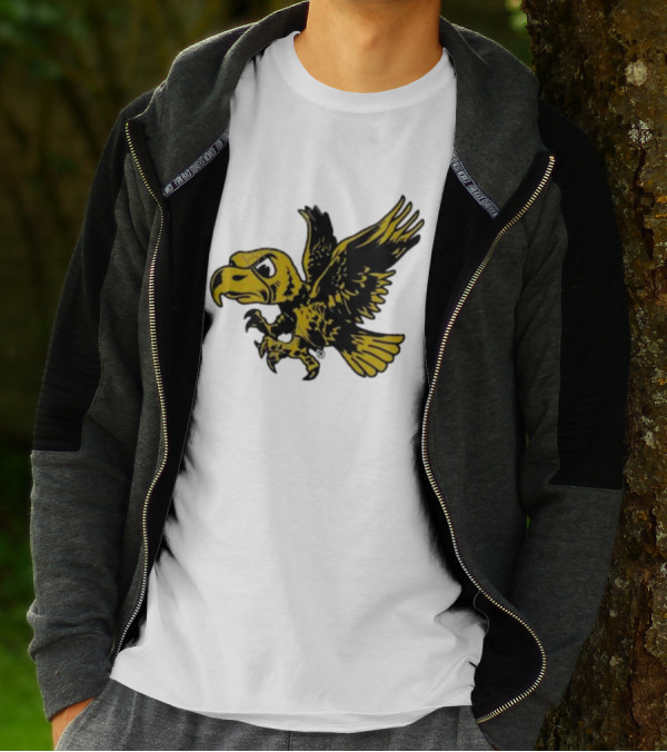 University Of Iowa Vintage Flying Herky Wall Decals T-Shirt
