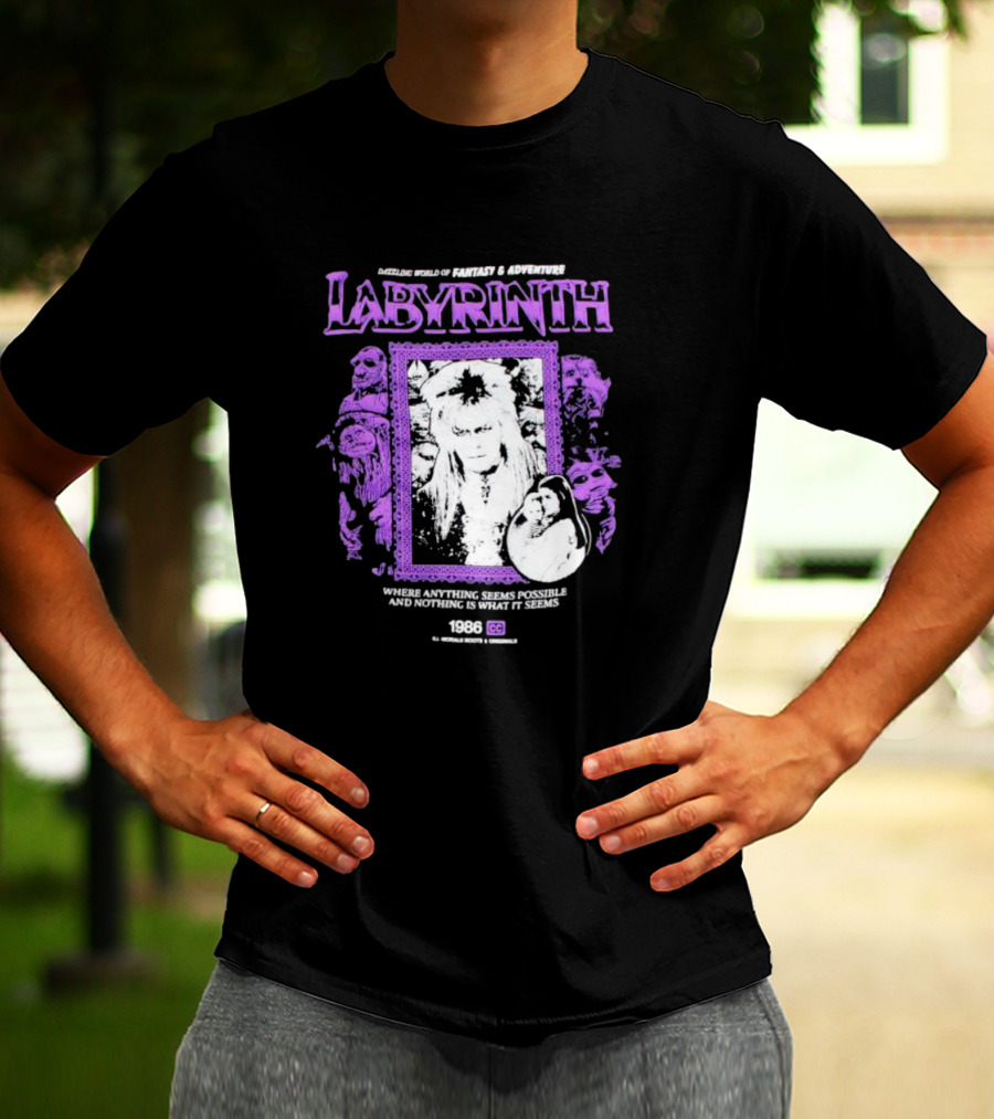 Dazzling World Of Fantasy And Adventure Labyrinth 1986 Where Anything Seems Possible And Nothing Is What It Seems T-Shirt