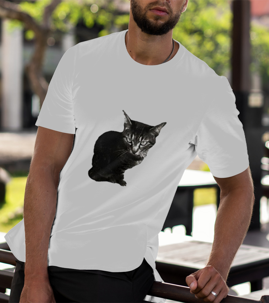 Smileymaya15 How Long Have I Been Here Kitten Cat Black Gray Tabby T-Shirt