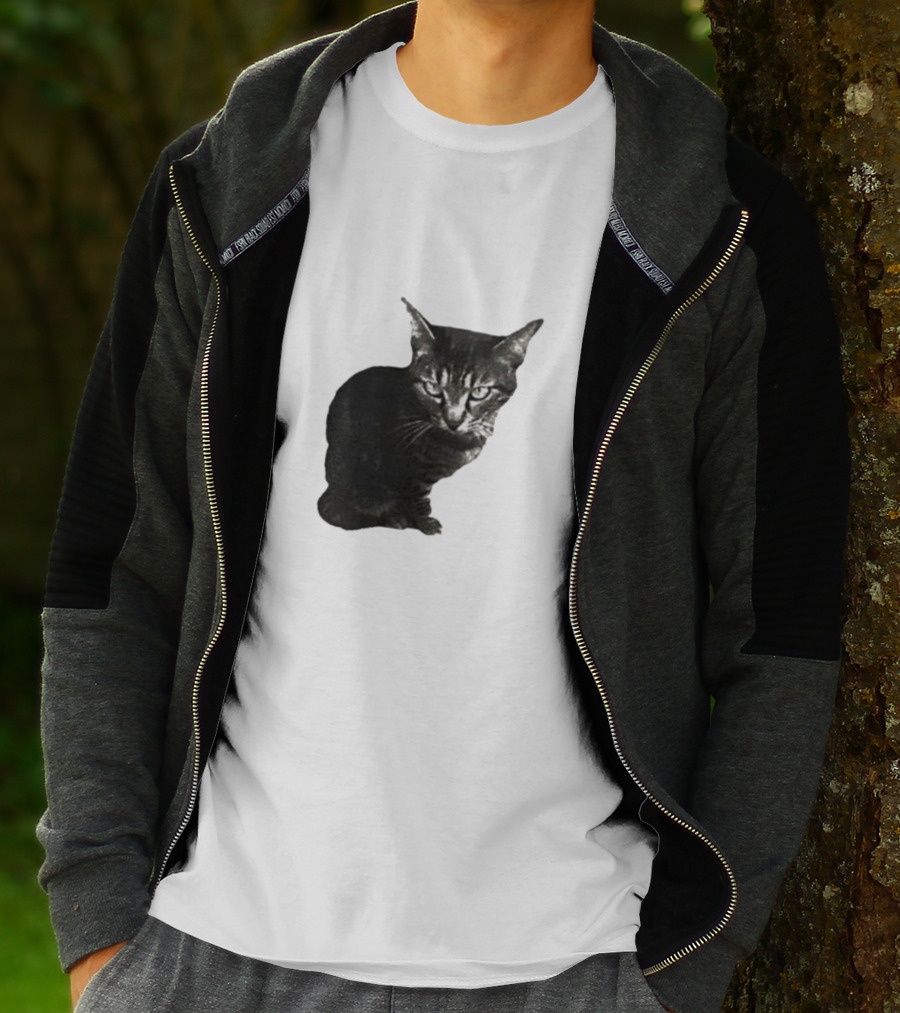 Smileymaya15 How Long Have I Been Here Kitten Cat Black Gray Tabby T-Shirt
