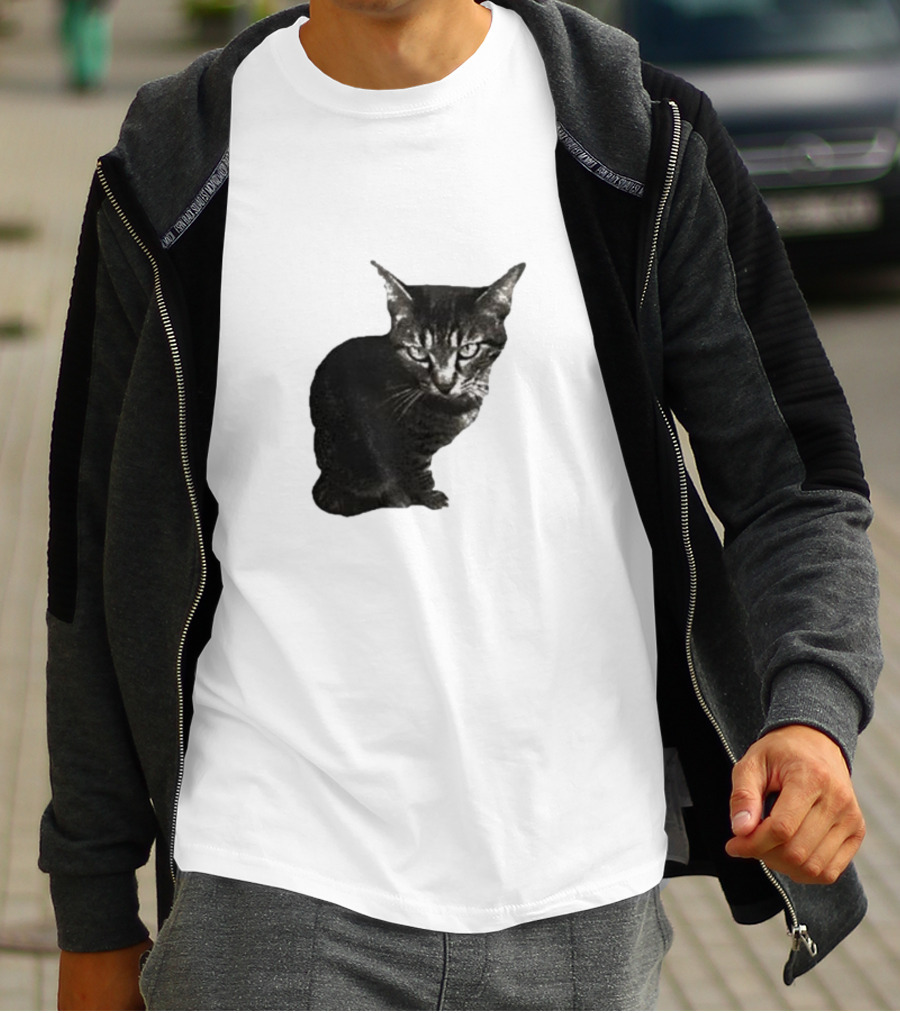 Smileymaya15 How Long Have I Been Here Kitten Cat Black Gray Tabby T-Shirt