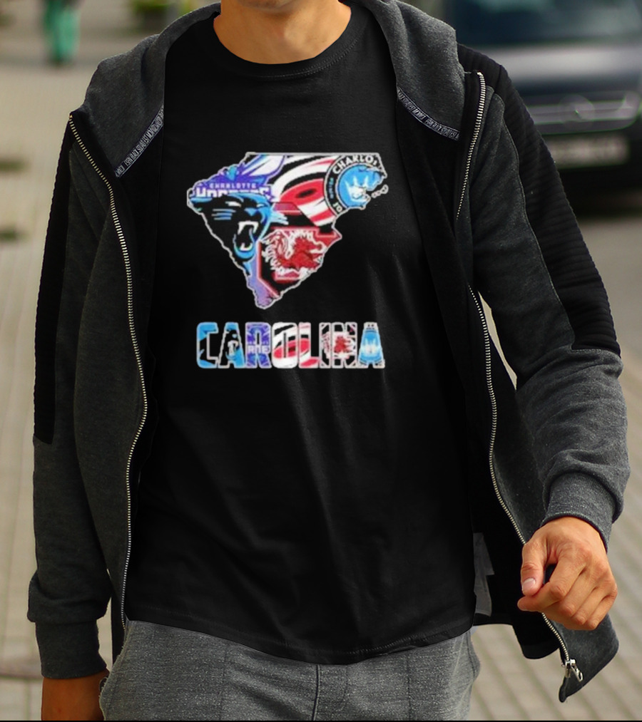 Carolina Panthers South Carolina Gamecocks Charlotte FC Hurricanes Carolina T-Shirt