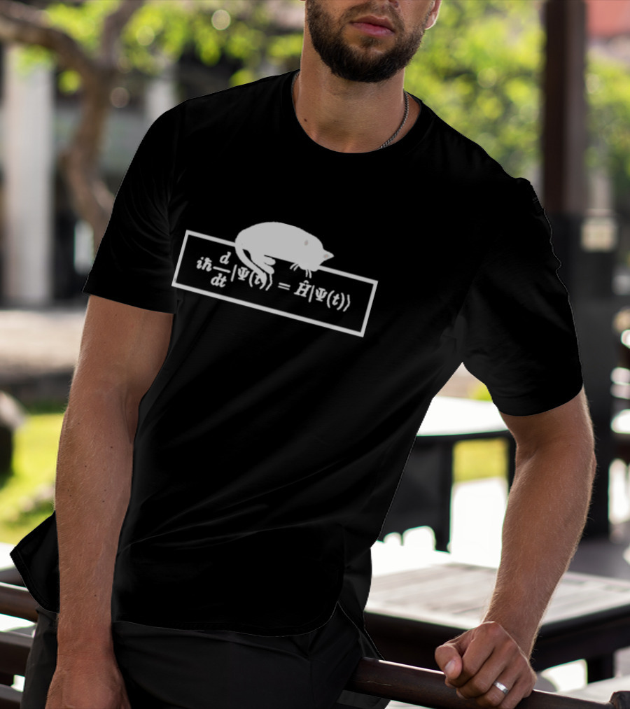 Schrodinger Equation Cat Quantum Physics Humor Psi Function T-Shirt